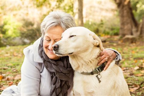 pet insurance for senior citizens.